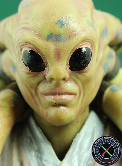 Kit Fisto  Star Wars The Black Series