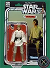 Luke Skywalker A New Hope Star Wars The Black Series