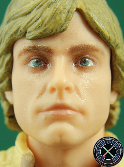 Luke Skywalker Skywalker Strikes Star Wars The Black Series