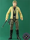 Luke Skywalker, Yavin Ceremony figure