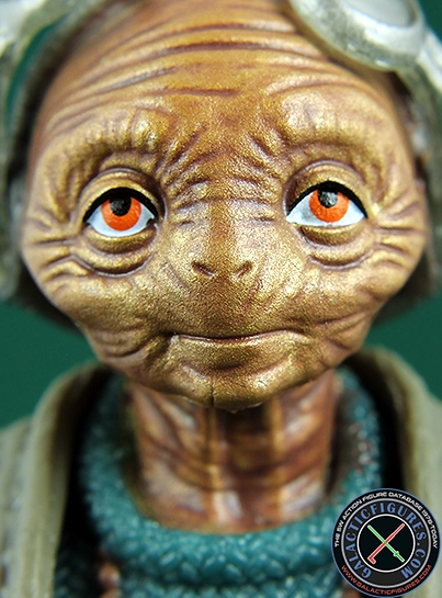 Maz Kanata With Chest Box Star Wars The Black Series