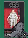 Padmé Amidala Attack Of The Clones Star Wars The Black Series