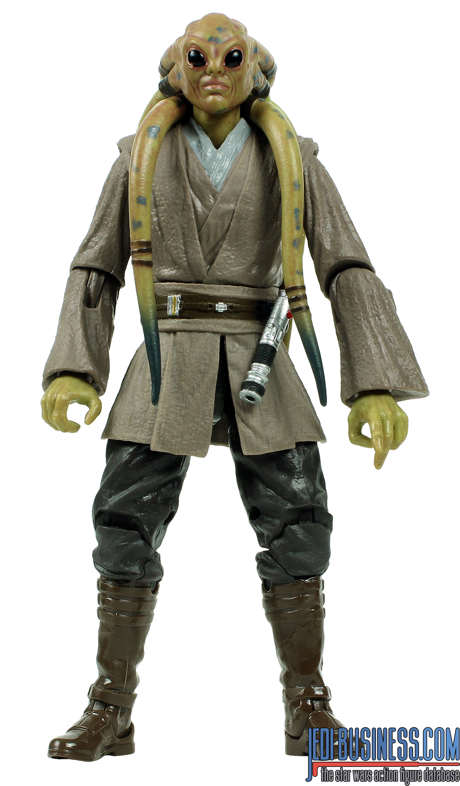 Kit Fisto