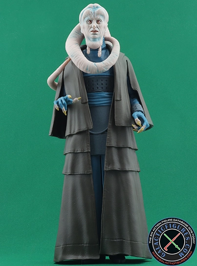 Bib Fortuna