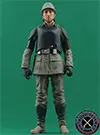 Cassian Andor, Aldhani Mission figure