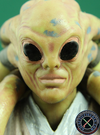 Kit Fisto  Star Wars The Black Series