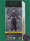 Padmé Amidala Theed Star Wars The Black Series