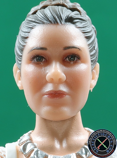 Princess Leia Organa Yavin 4 Star Wars The Black Series