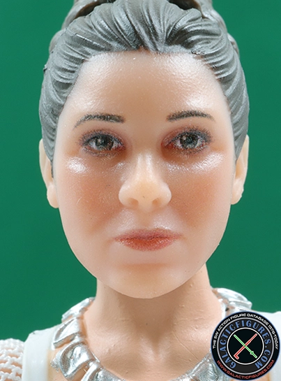 Princess Leia Organa Yavin 4 Star Wars The Black Series