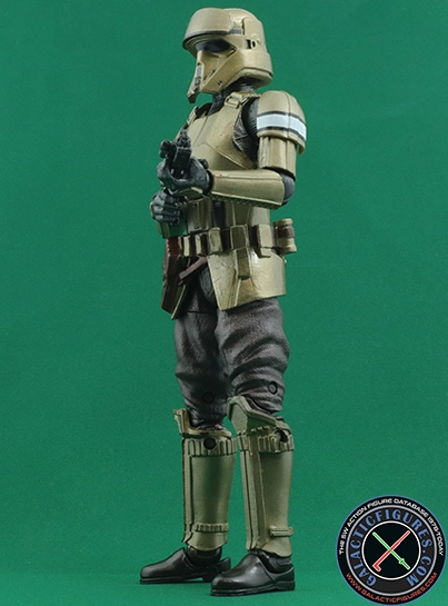 Shoretrooper Carbonized Star Wars The Black Series