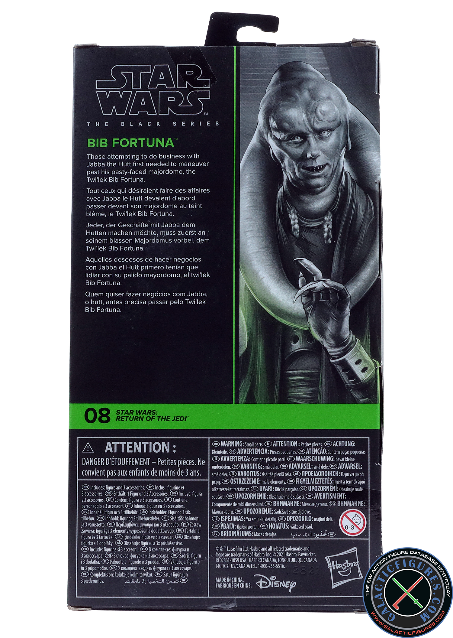 Bib Fortuna