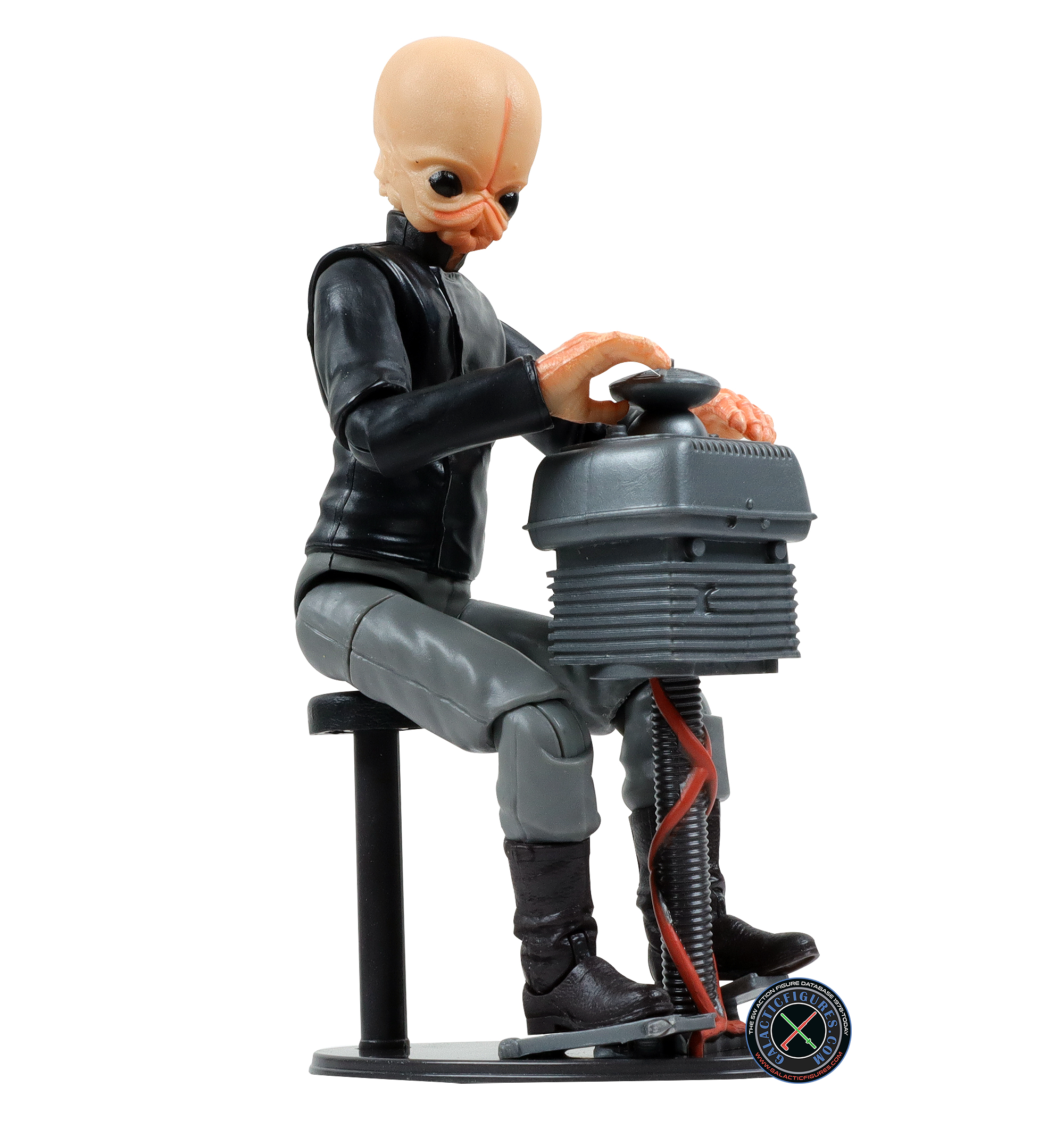 Nalan Cheel Cantina Band Member