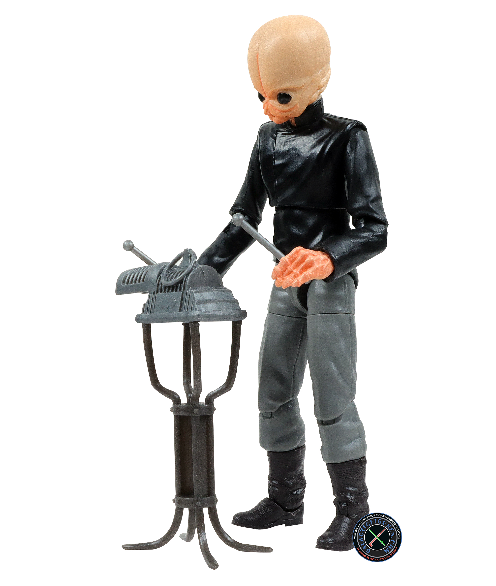 Nalan Cheel Cantina Band Member