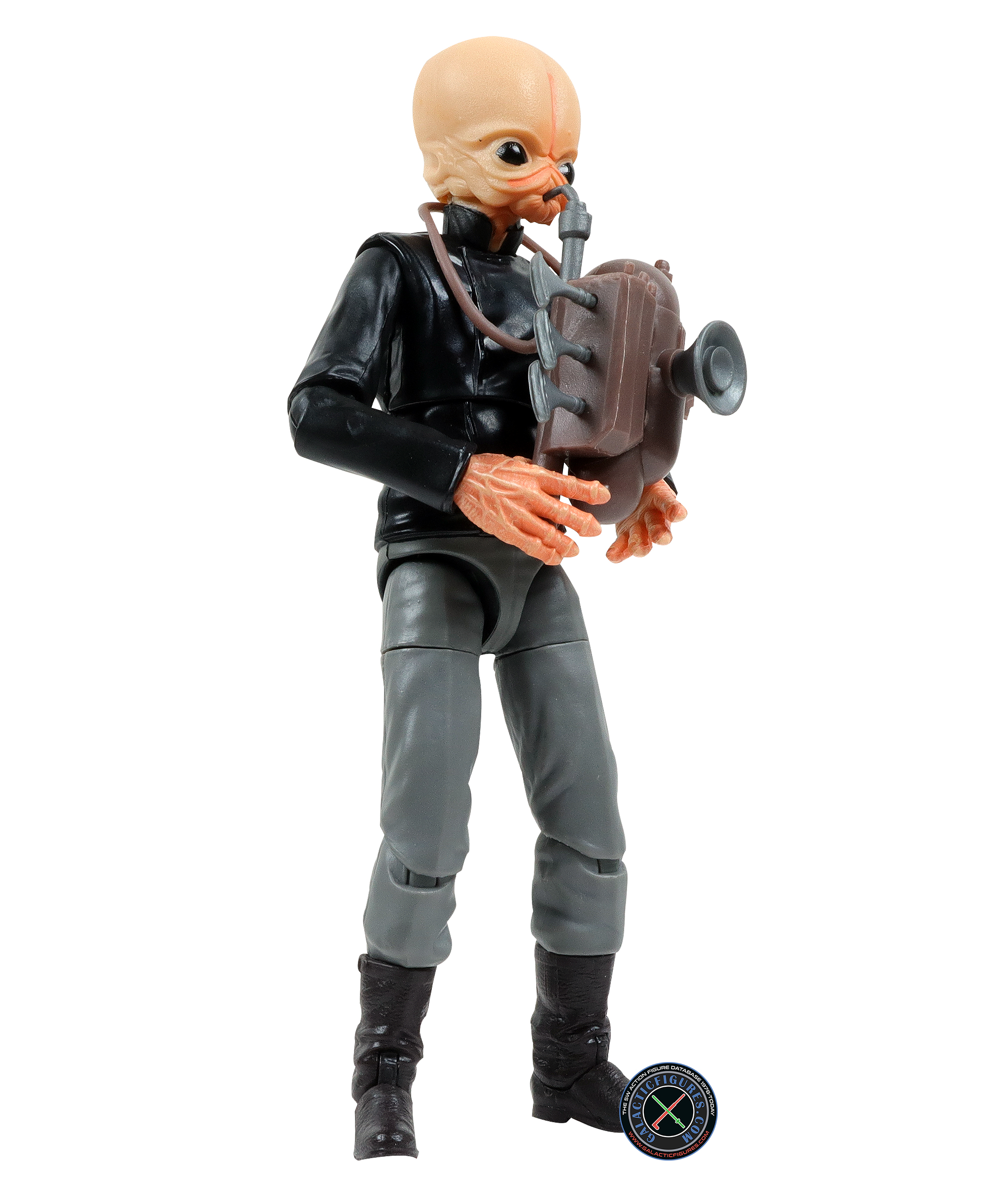 Nalan Cheel Cantina Band Member