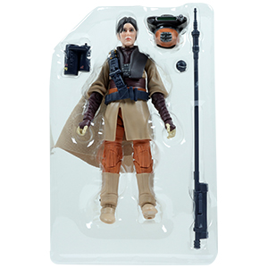 Princess Leia Organa Boushh