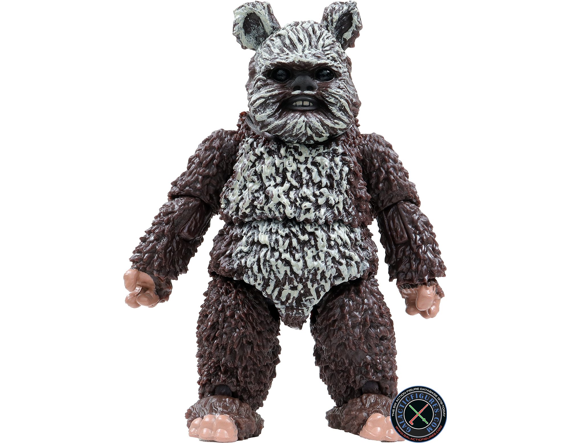 Wicket
