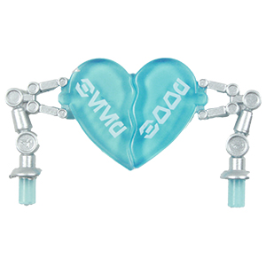 Valentine's Day 2026 2-pack