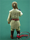 Anakin Skywalker, Naboo figure