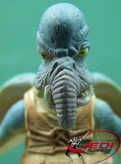 Watto Watto's Box The Episode 1 Collection