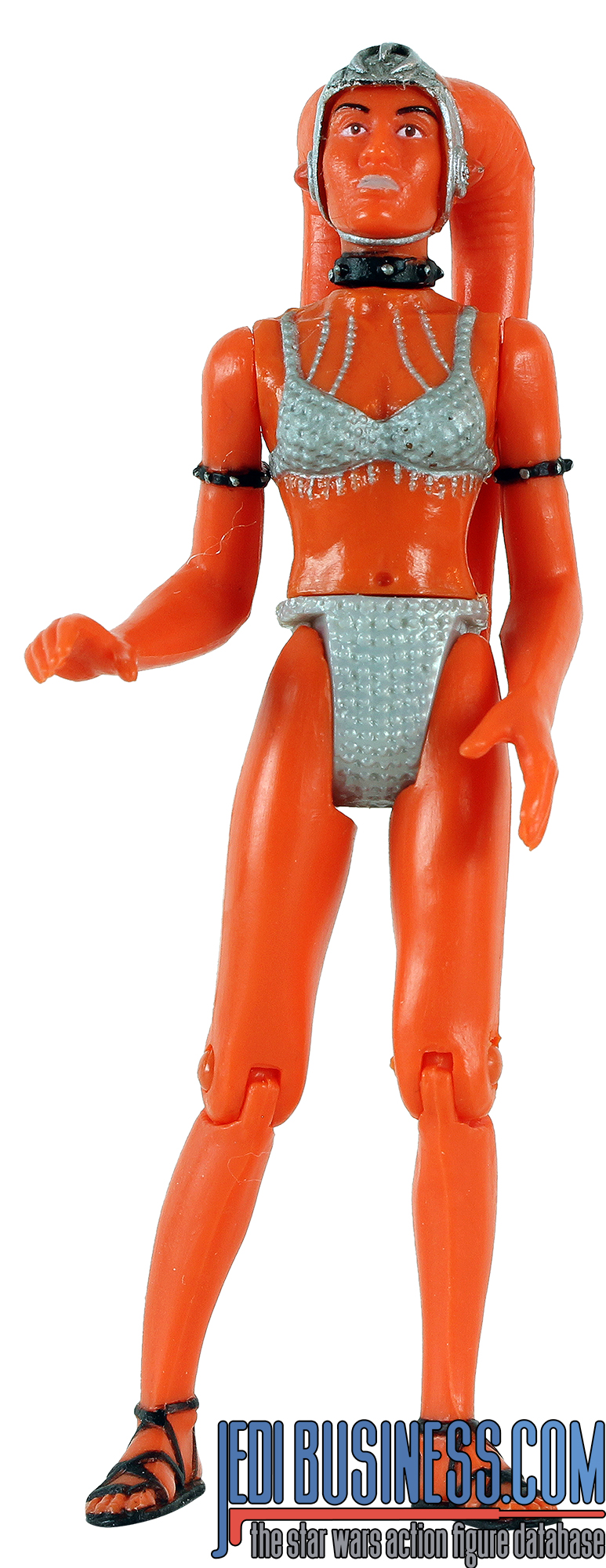 Shakka Watto's Box