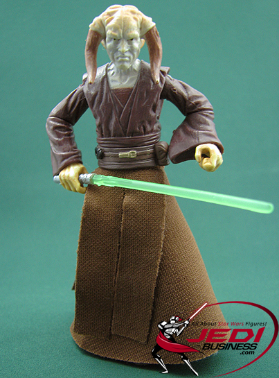 Saesee Tiin Jedi Master