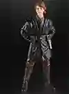  Anakin Skywalker