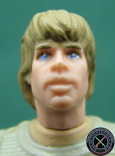 Luke Skywalker (The Power Of The Force)