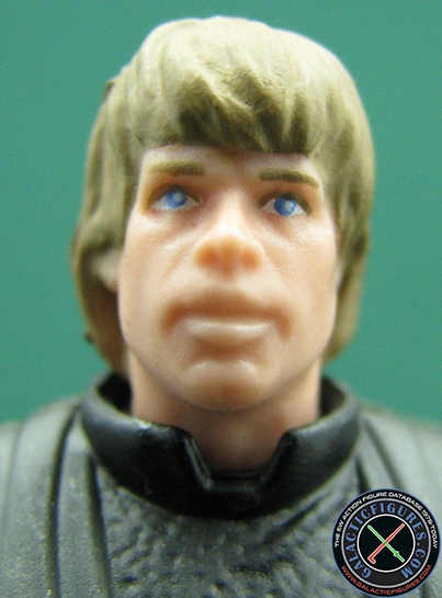 Luke Skywalker (The Power Of The Force)