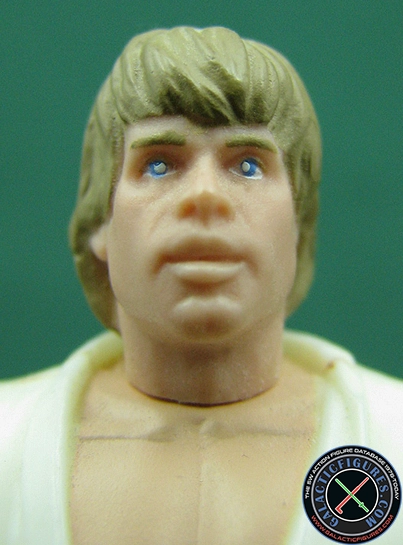 Luke Skywalker  The Power Of The Force