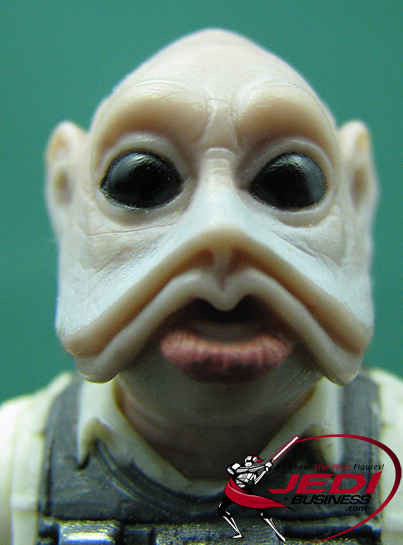 Ten Numb Rebel Pilots The Power Of The Force