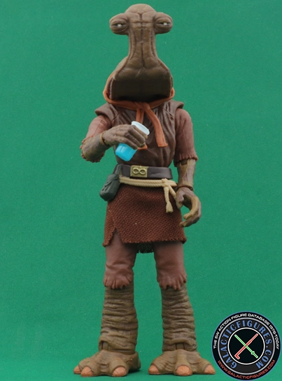 Momaw Nadon Hammerhead