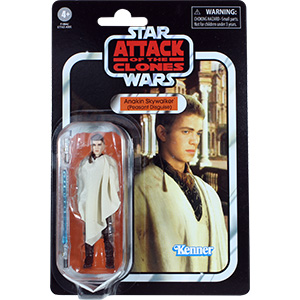 Anakin Skywalker Peasant Disguise