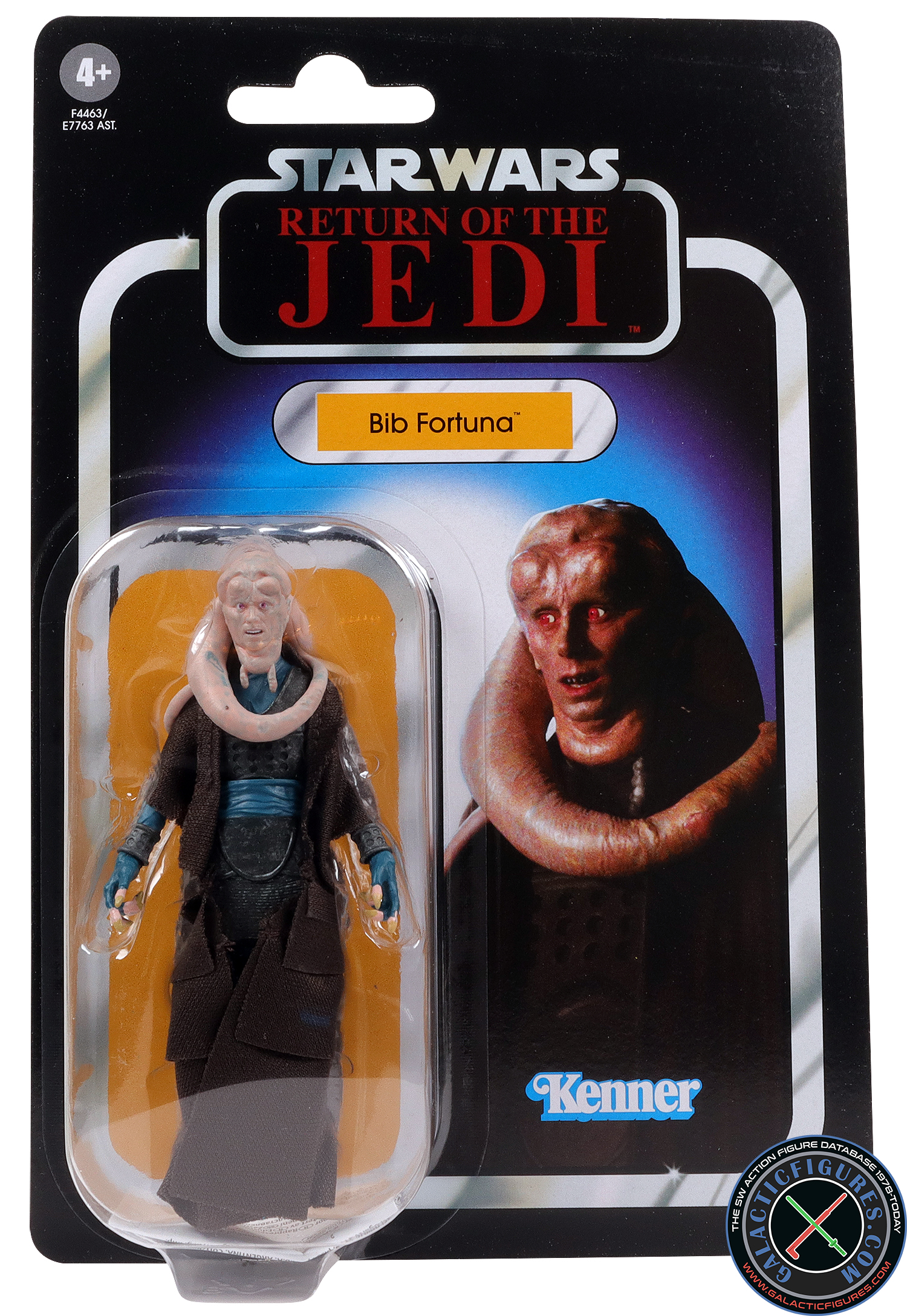 Bib Fortuna