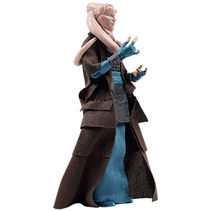 Bib Fortuna