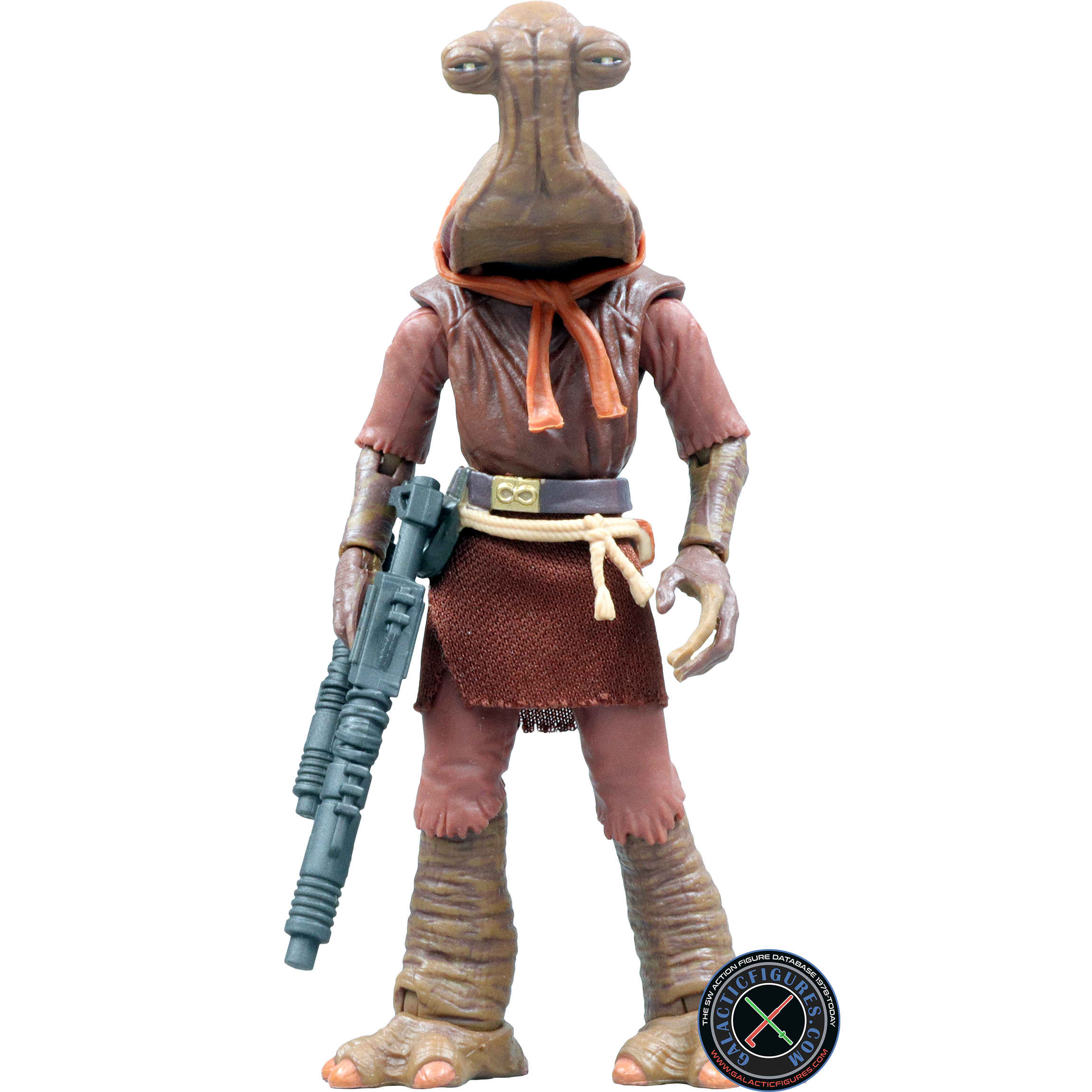 Momaw Nadon Hammerhead