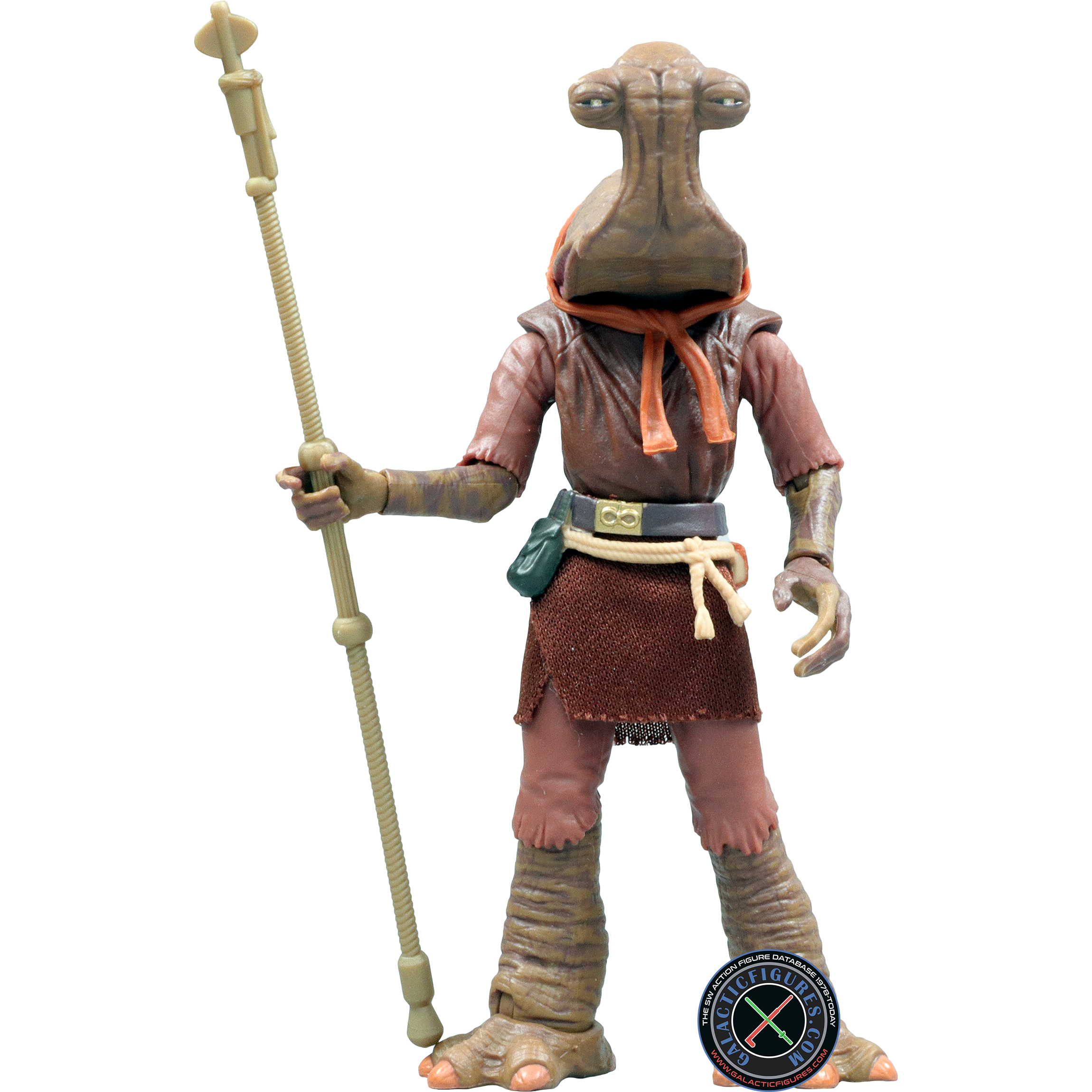 Momaw Nadon Hammerhead