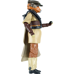 Princess Leia Organa In Boushh Disguise