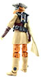 Princess Leia Organa Boushh Disguise