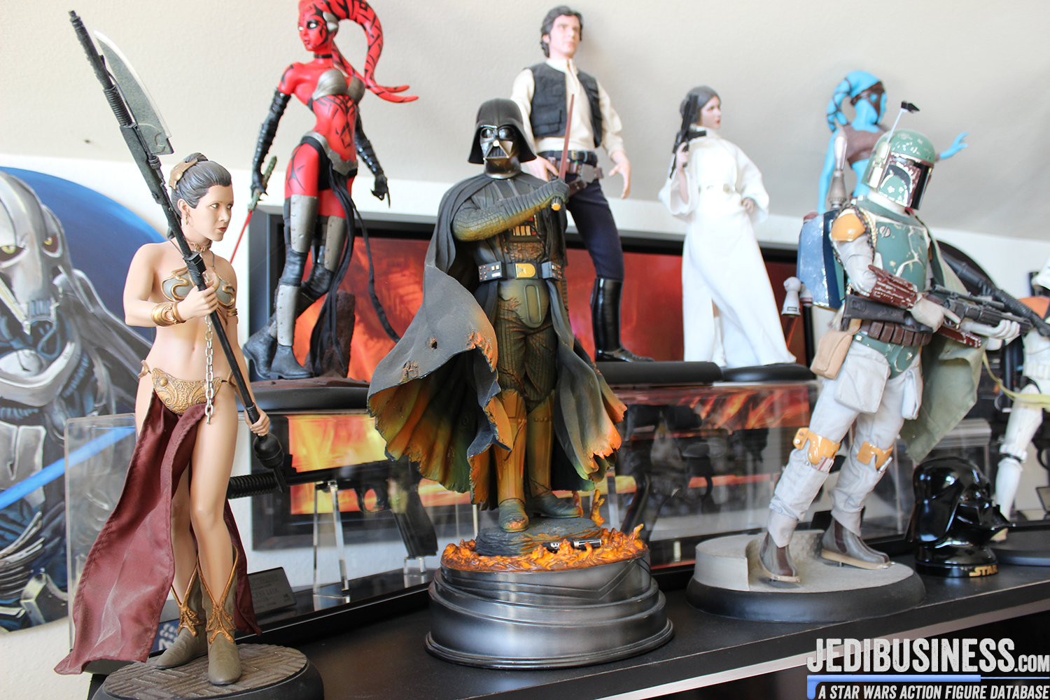 Lauren Bock's Star Wars Collection