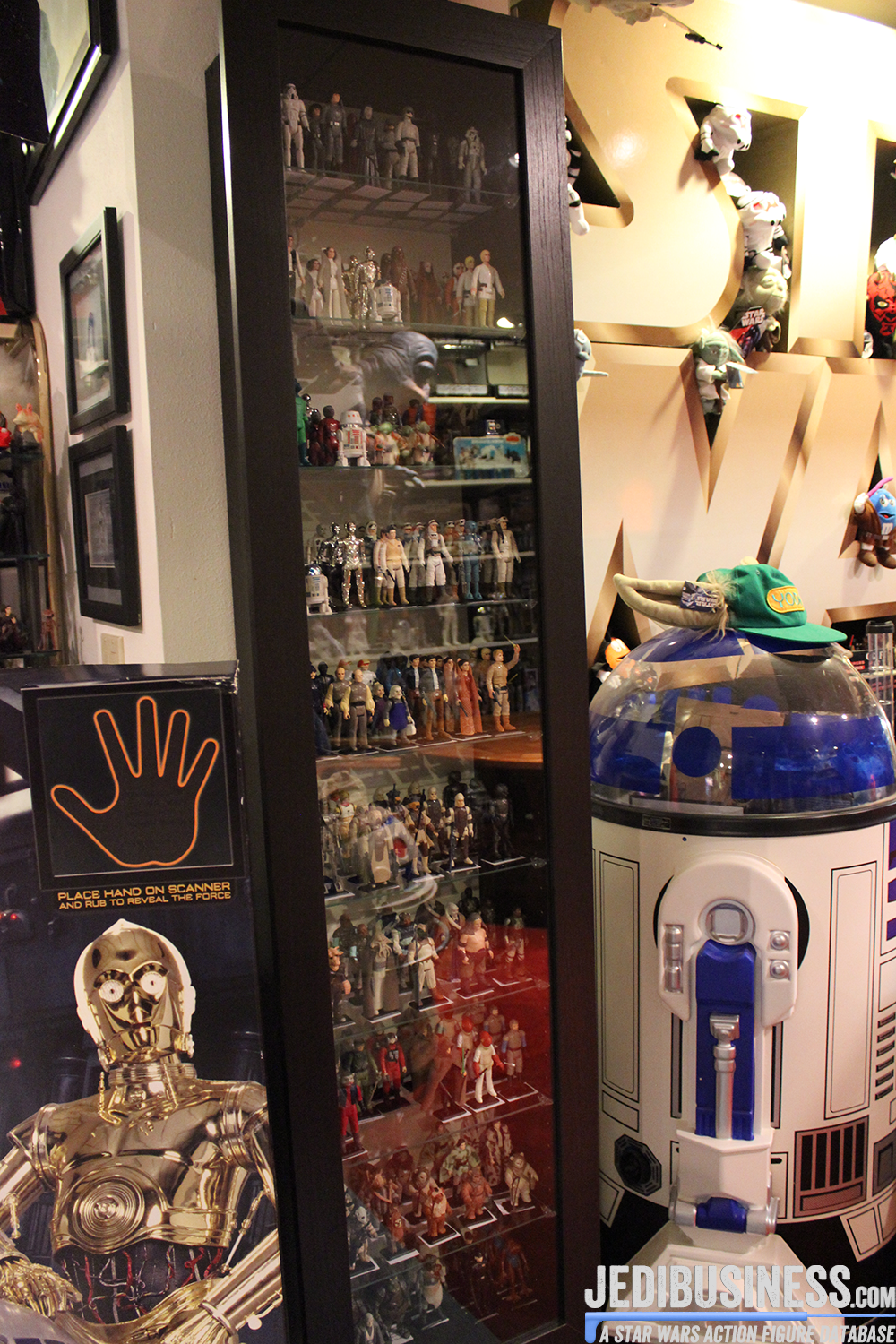 Lauren Bock's Star Wars Collection