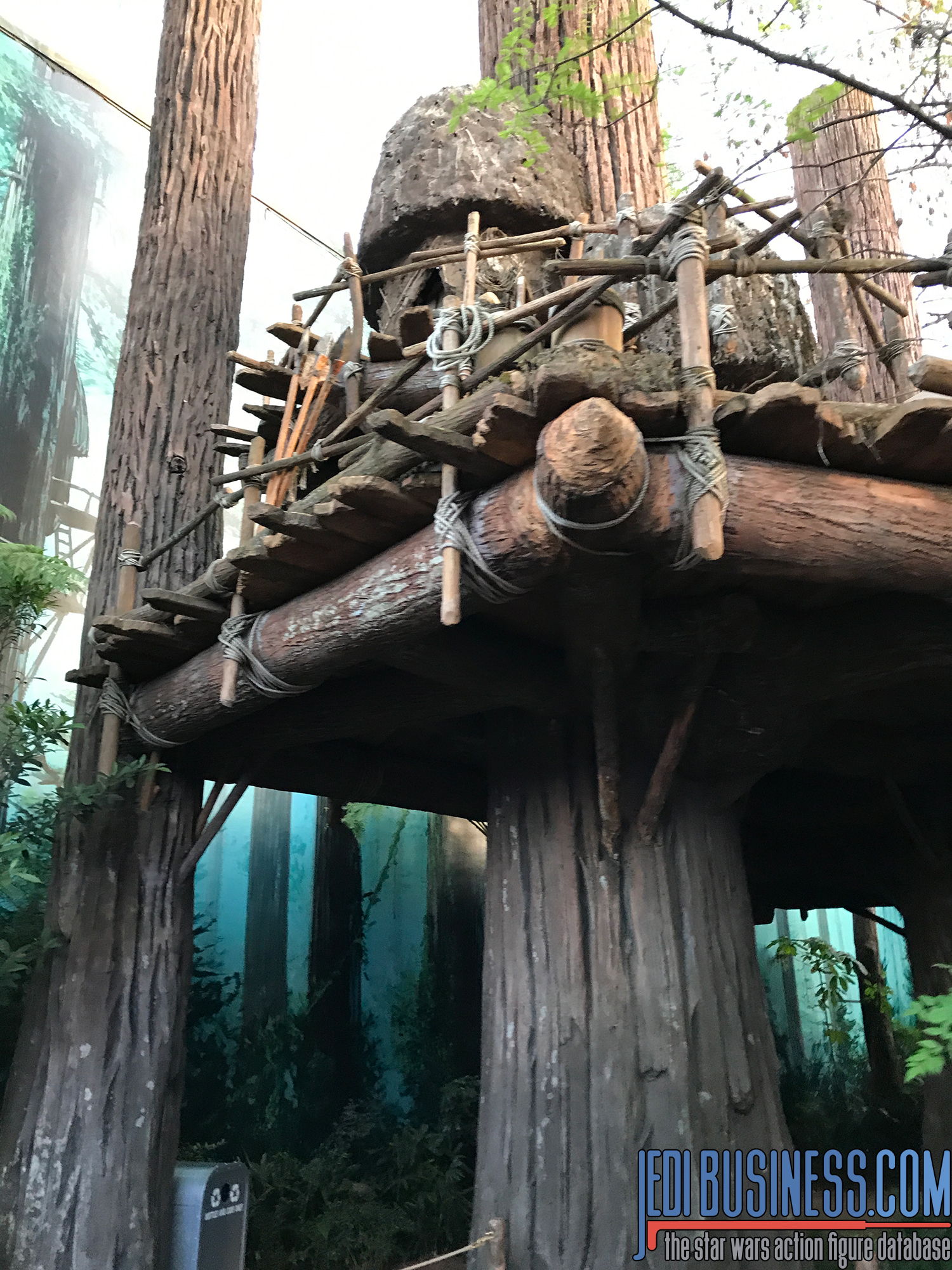 Star Wars Galactic Nights At Disney's Hollywood Studios